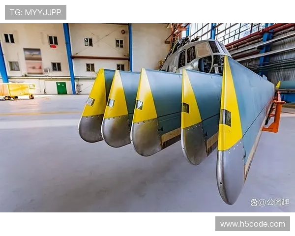 直升机桨叶的防蚀耐磨金属包条