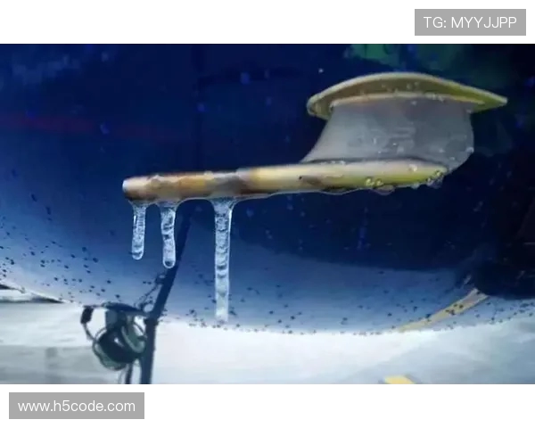 飞机机翼前缘防冰系统的热空气源